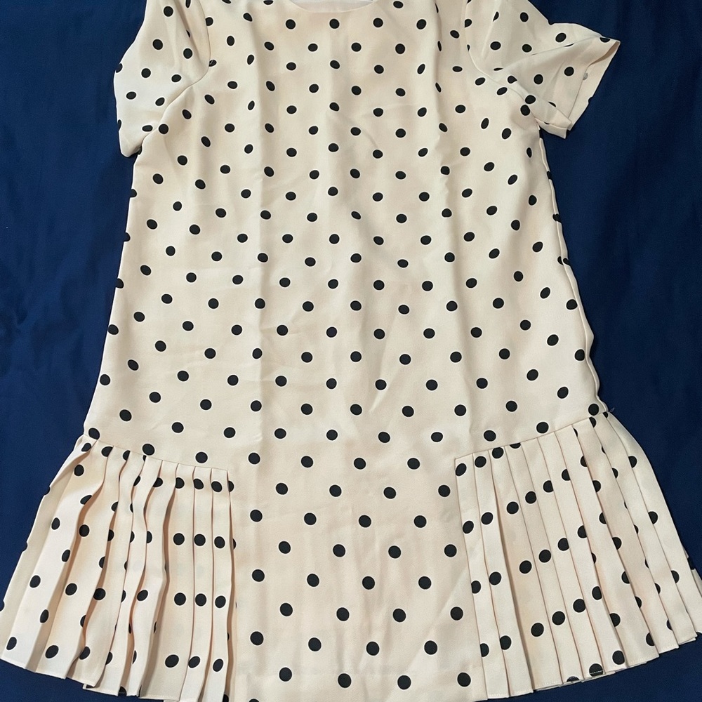 Ann Taylor Dress